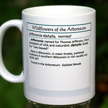 mug jeffersonia 8135.jpg